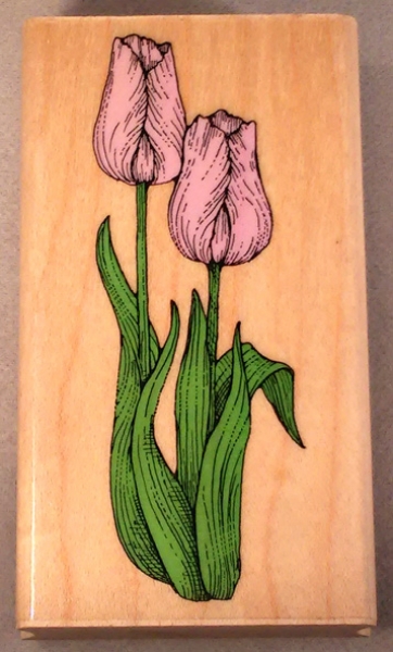 Hero Arts Tulpen (used)