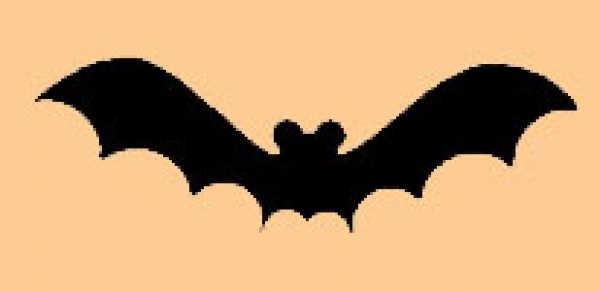 Mini Lange Fledermaus
