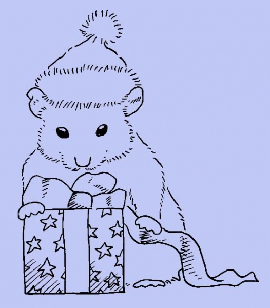 Kleiner Geschenkehamster